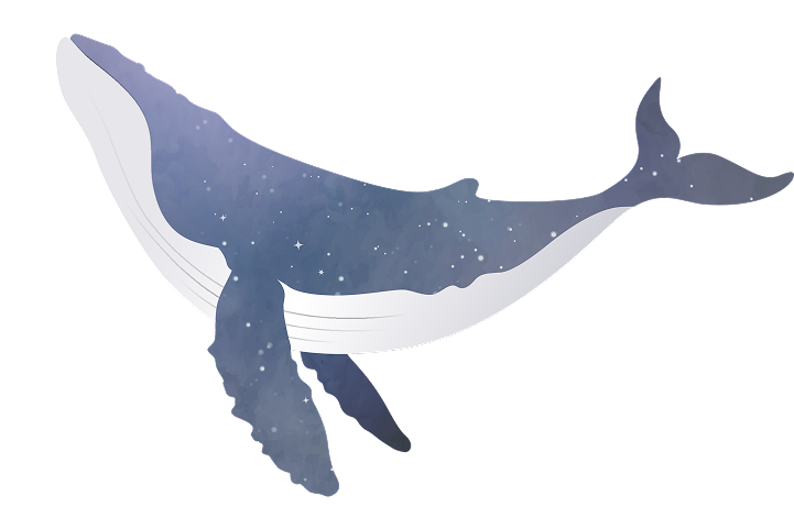 approarch-whale